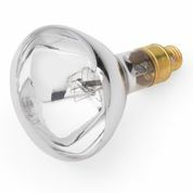 150 Watt Spot, Built-In Ballast Replacement Bulb